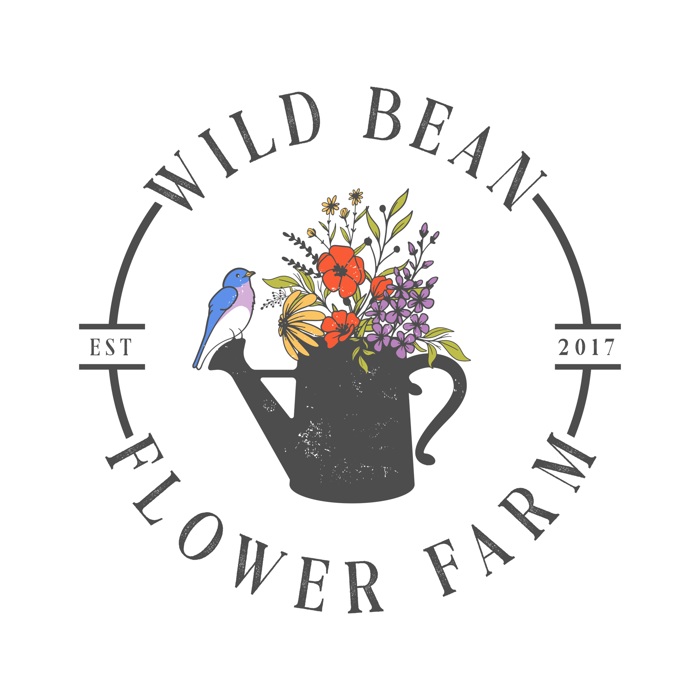 DAHLIAS WILD BEAN FLOWER FARM